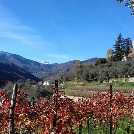 Agriturismo A Ca Du Paiperu Pieve di Teco Екстер'єр фото